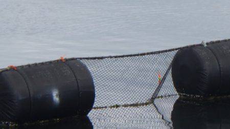 淡路じゃのひれフィッシングパーク 釣果