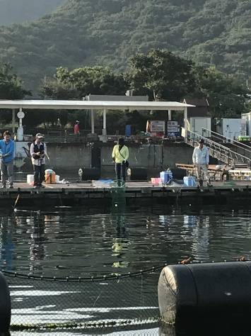 淡路じゃのひれフィッシングパーク 釣果