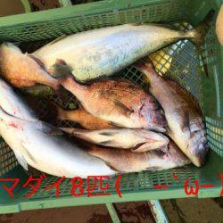 淡路じゃのひれフィッシングパーク 釣果