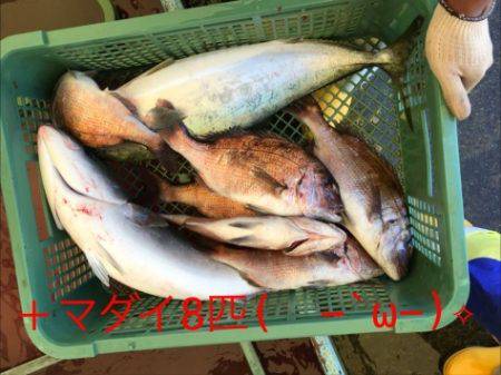淡路じゃのひれフィッシングパーク 釣果