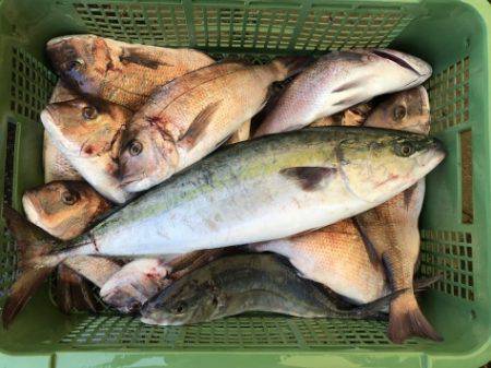 淡路じゃのひれフィッシングパーク 釣果