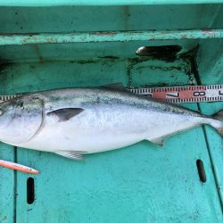 広進丸 釣果