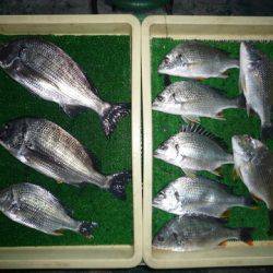 海山フィッシングセンター 釣果