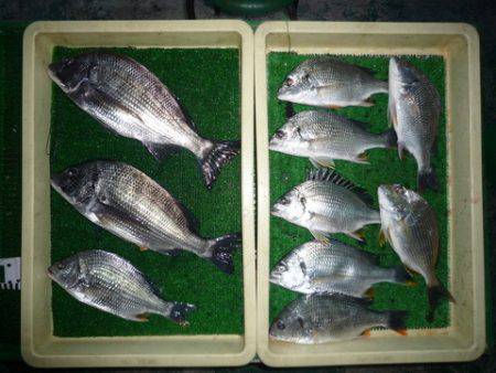 海山フィッシングセンター 釣果