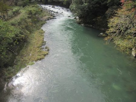 狩野川(狩野川漁業協同組合) 釣果
