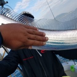 遊漁船 ニライカナイ 釣果