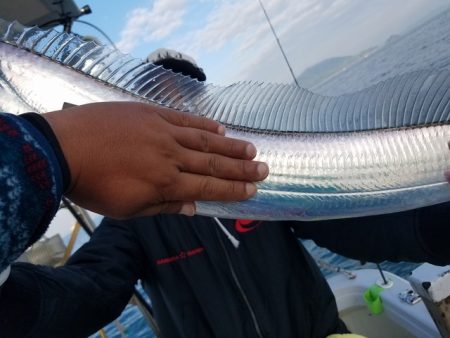 遊漁船　ニライカナイ 釣果