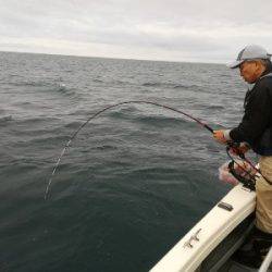 IDATEN（イダテン） 釣果