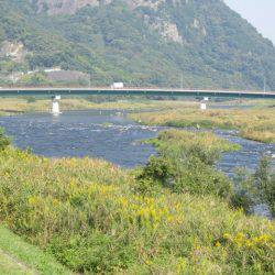 狩野川(狩野川漁業協同組合) 釣果