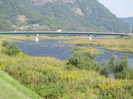 狩野川(狩野川漁業協同組合) 釣果