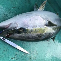 広進丸 釣果