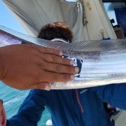 遊漁船 ニライカナイ 釣果