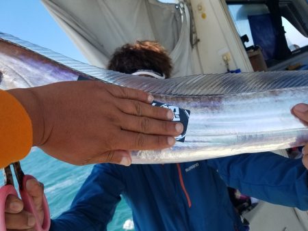 遊漁船 ニライカナイ 釣果