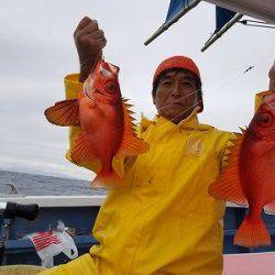 しまや丸 釣果