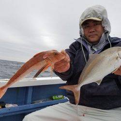 しまや丸 釣果