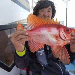 しまや丸 釣果