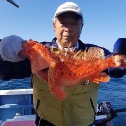 しまや丸 釣果