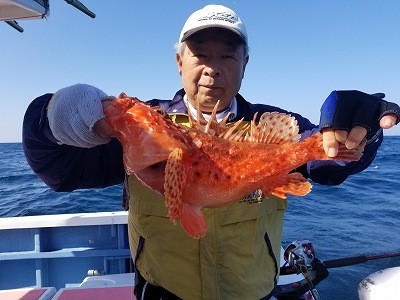 しまや丸 釣果