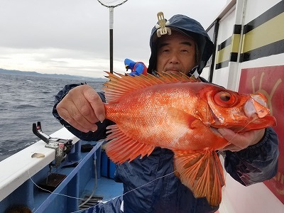 しまや丸 釣果