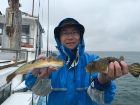 おざき丸 釣果
