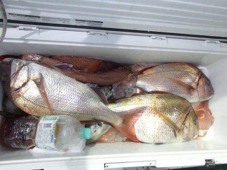 第二むつ漁丸 釣果