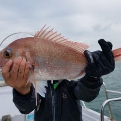 遊漁船 ニライカナイ 釣果