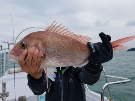 遊漁船 ニライカナイ 釣果