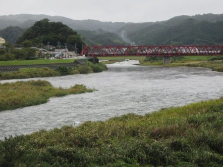 狩野川（狩野川漁業協同組合） 釣果