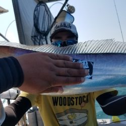 遊漁船 ニライカナイ 釣果