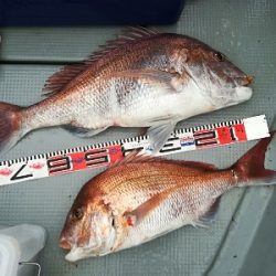 IDATEN（イダテン） 釣果