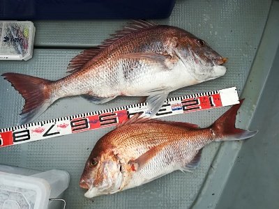 IDATEN（イダテン） 釣果