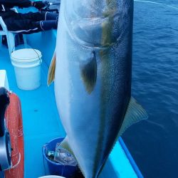宝昌丸 釣果