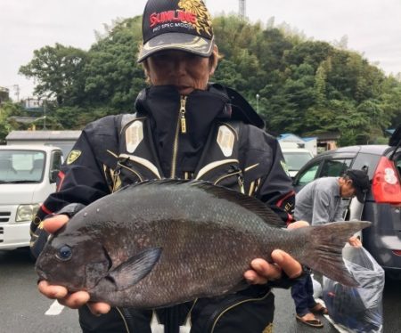鵜来島家本渡船 釣果