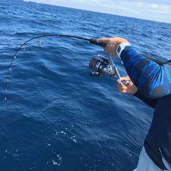 へいみつ丸 釣果
