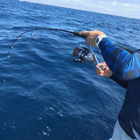 へいみつ丸 釣果