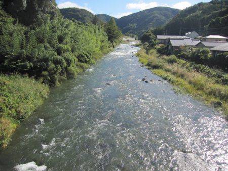 狩野川(狩野川漁業協同組合) 釣果