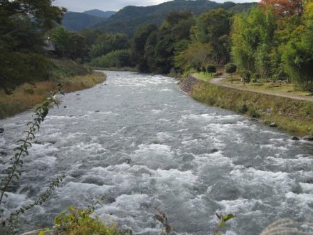 狩野川(狩野川漁業協同組合) 釣果