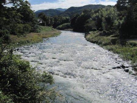 狩野川(狩野川漁業協同組合) 釣果