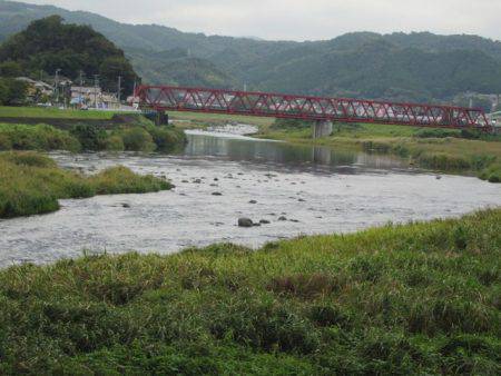 狩野川（狩野川漁業協同組合） 釣果