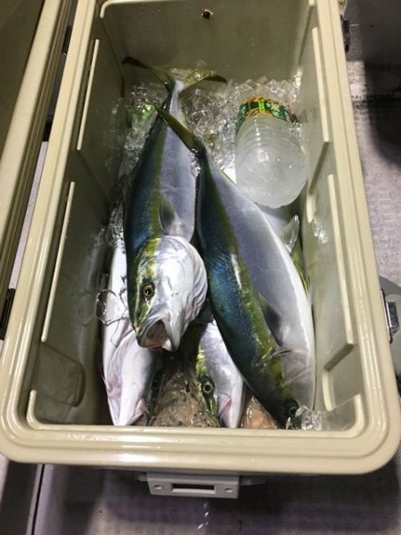 龍宮丸 釣果
