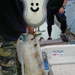 Magic（マジック） 釣果