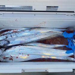 遊漁船 ニライカナイ 釣果