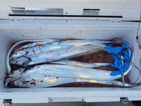 遊漁船 ニライカナイ 釣果