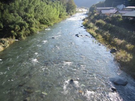 狩野川(狩野川漁業協同組合) 釣果