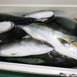 スカイマリン 釣果