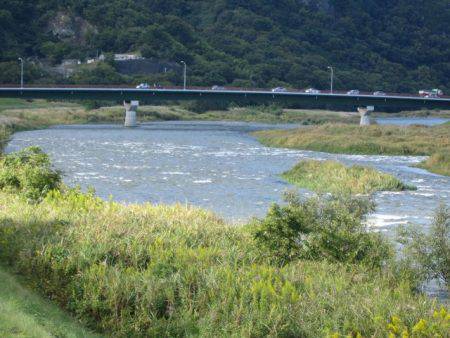 狩野川(狩野川漁業協同組合) 釣果