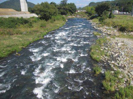 狩野川(狩野川漁業協同組合) 釣果