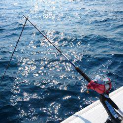 第三むつりょう丸 釣果