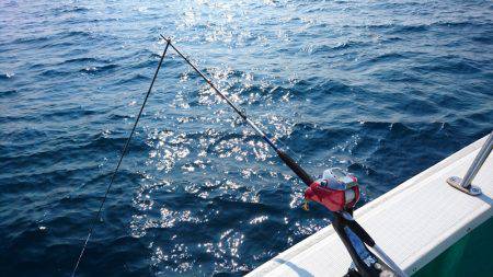 第三むつりょう丸 釣果