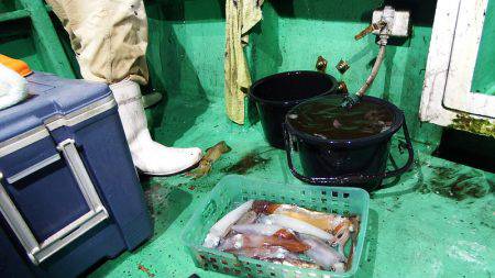 第三むつりょう丸 釣果